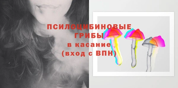 стафф Майский
