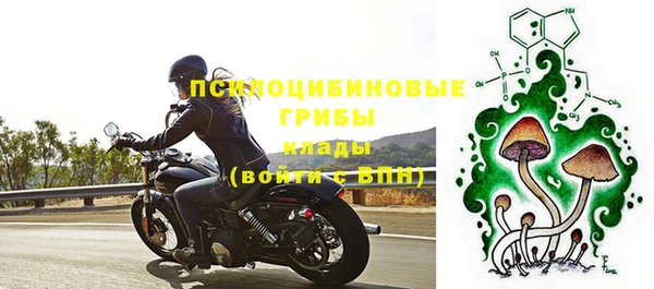 эйфоретик Магадан